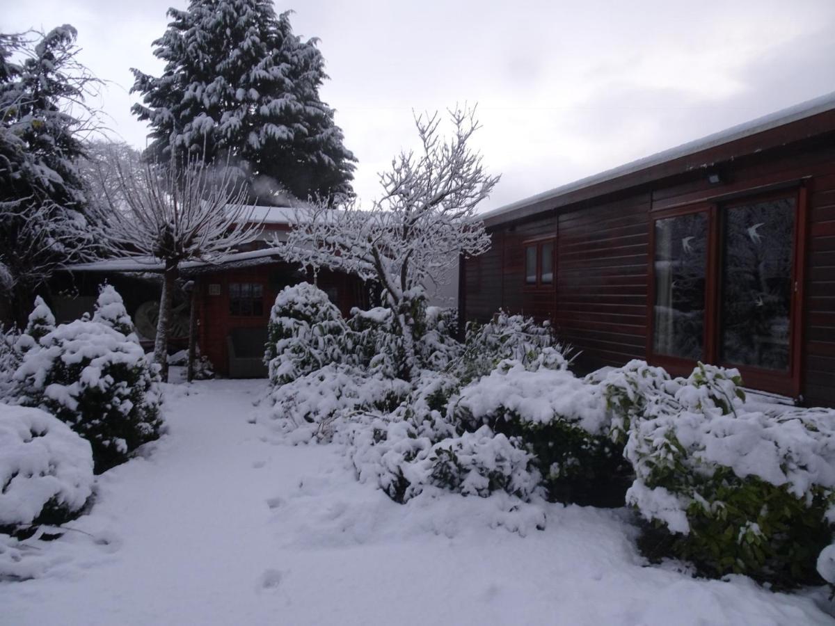 Veluwe Park Reewold Chalet Infinity Putten Esterno foto